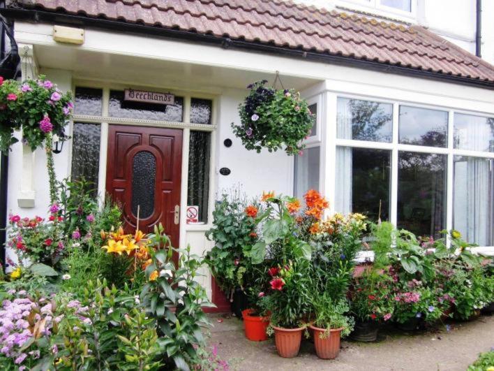 Beechlands B & B Sleights エクステリア 写真