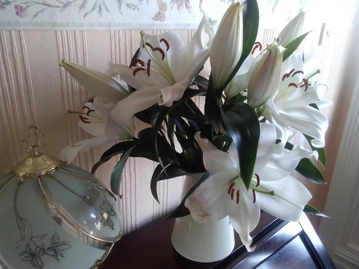 Beechlands B & B Sleights エクステリア 写真